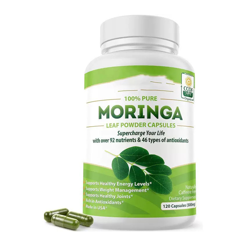 微信图片_20250427141517