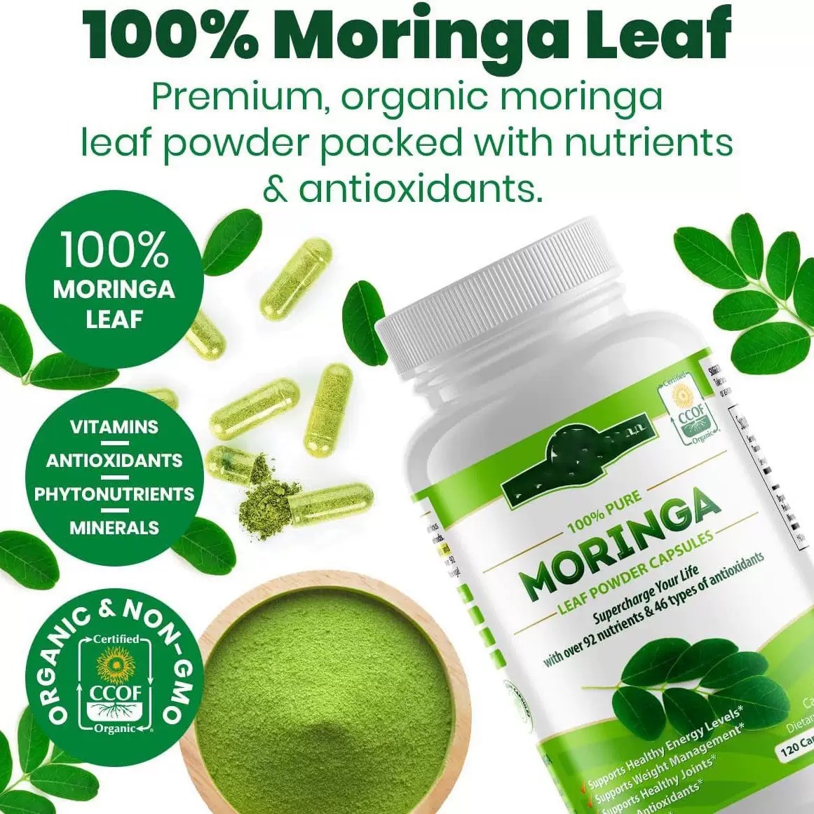 微信图片_20250427141537